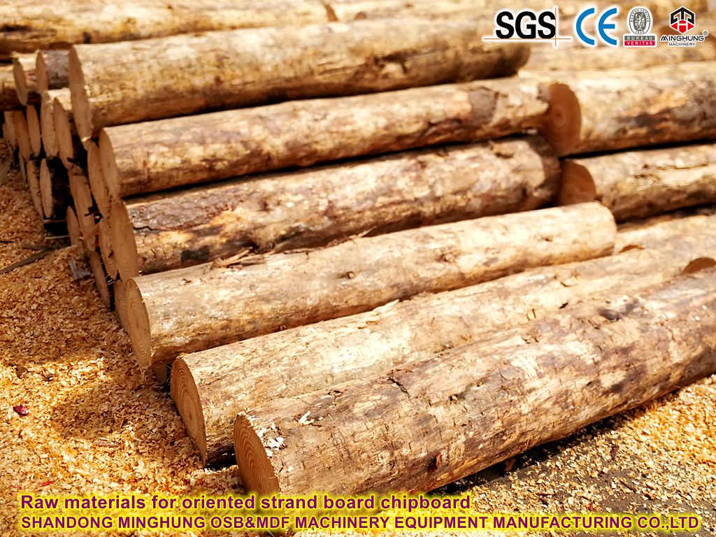 Raw materials for oriented strand board particle board