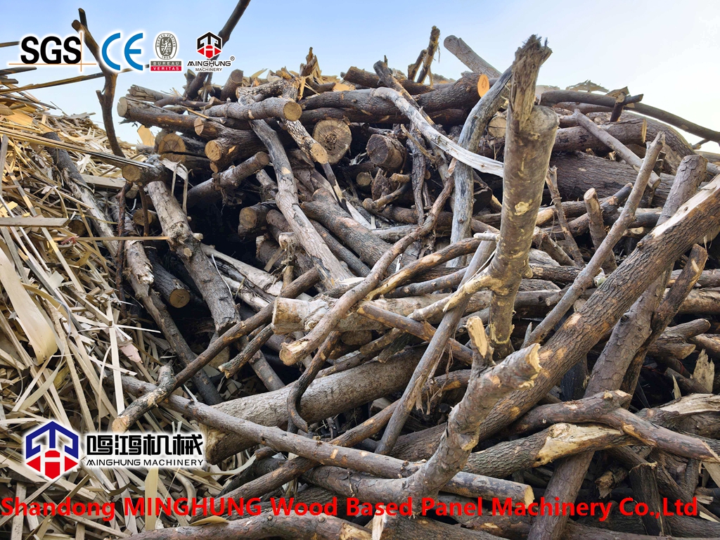 Raw material for particleboard - branches and twigs (1)