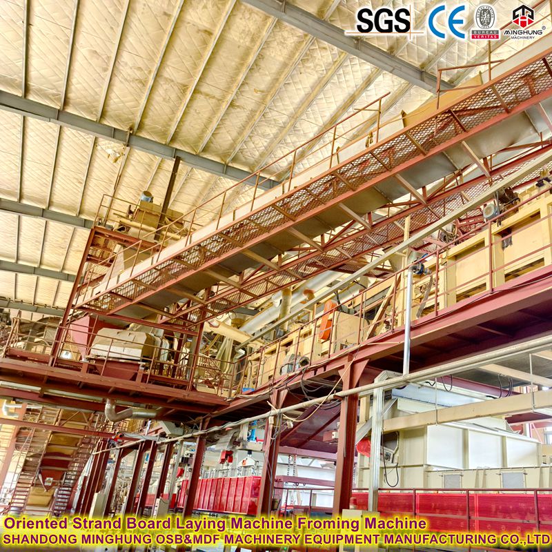 MINGHUNG Oriented Strand Board Froming Machine