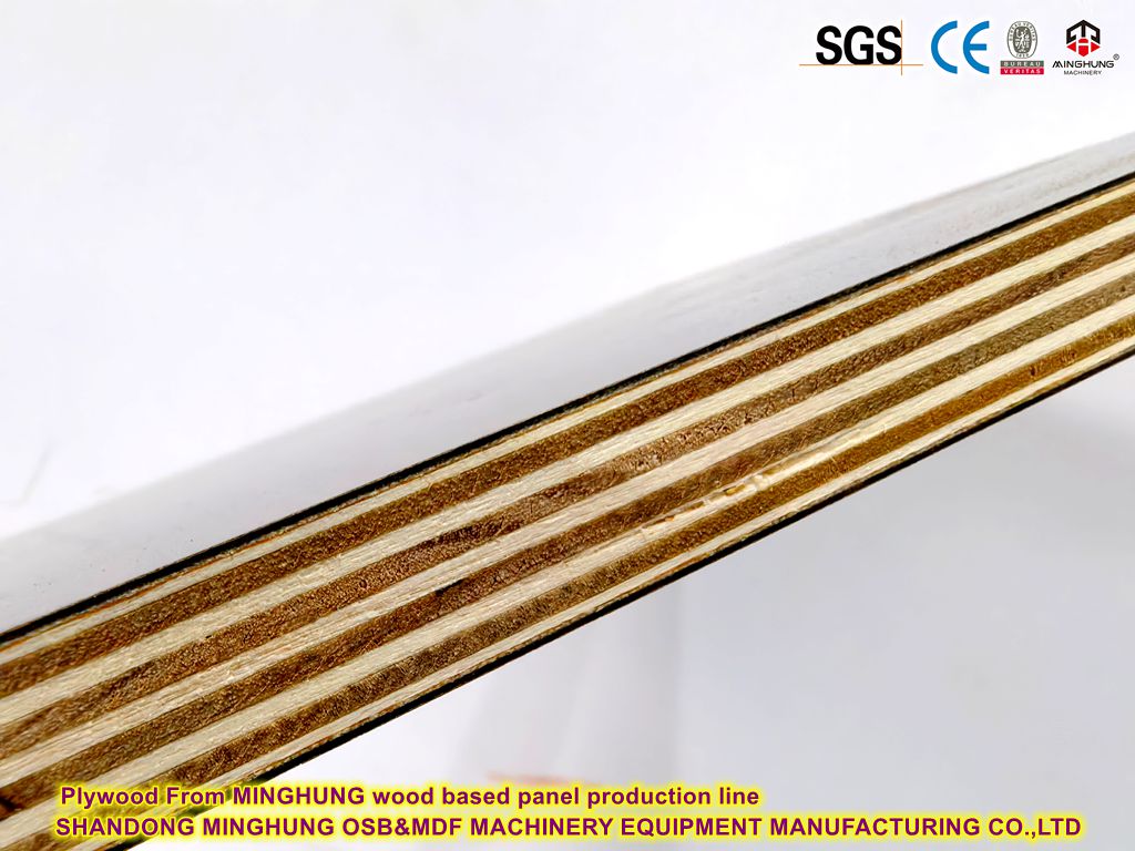 'Minghung' agaçdan ybarat panel panel önümçilik liniýasyndan plywood