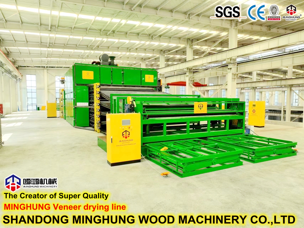 Veneer drying line
