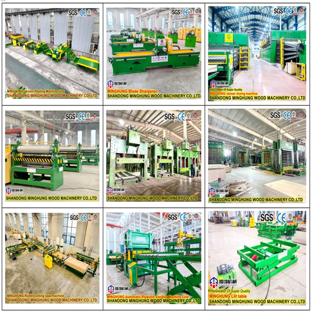  4ft X 8ft Standard Plywood Production Line 