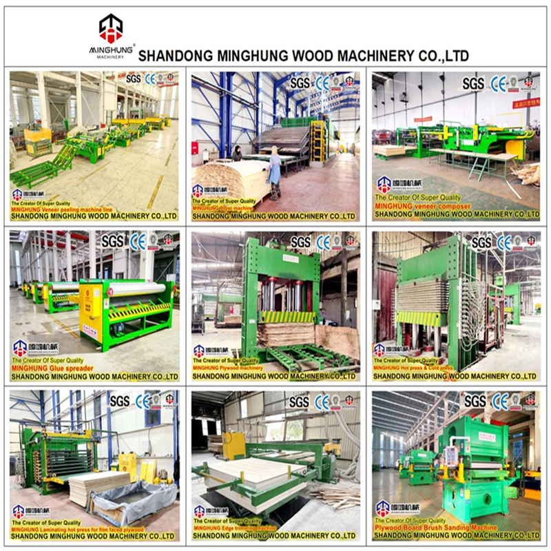 China MINGHONG plywood machine