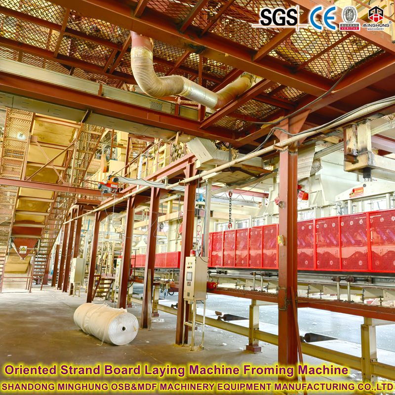 MINGHUNG Oriented Strand Board Laying Machine Froming Machine