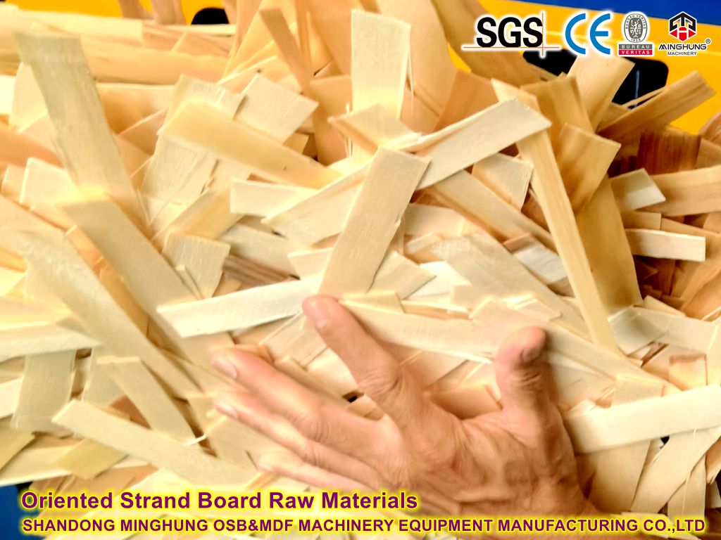 Oriented Strand Board Raw Material OSB
