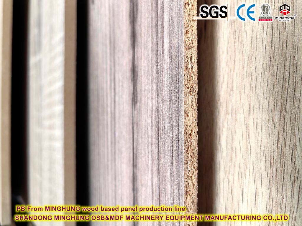PB From MINGHUNG wood based panel production line