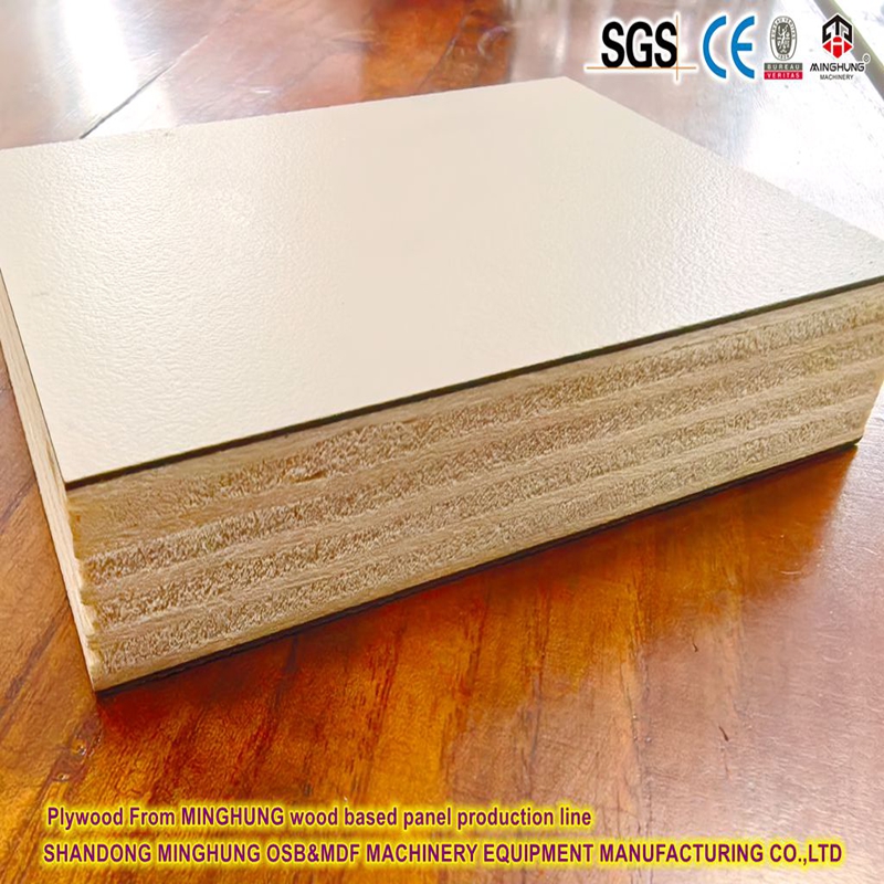 Plywood da linha de produção de madeira compensada à base de madeira de Minghung