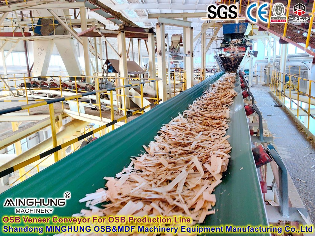 OSB veneer conveyor