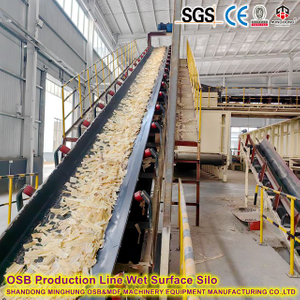 Bamboo OSB (BOSB) Panel Production Machine for India Market