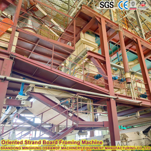500000m&sup3; Annual Structural OSB for Construction 18-22mm