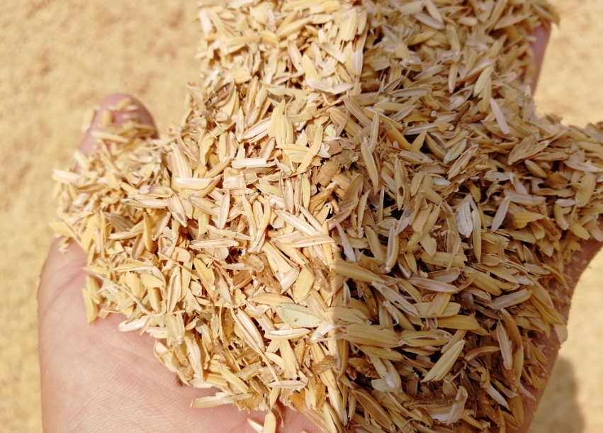 rice husk for making chipboard