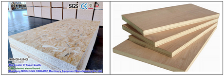 OSB and Plywood.png