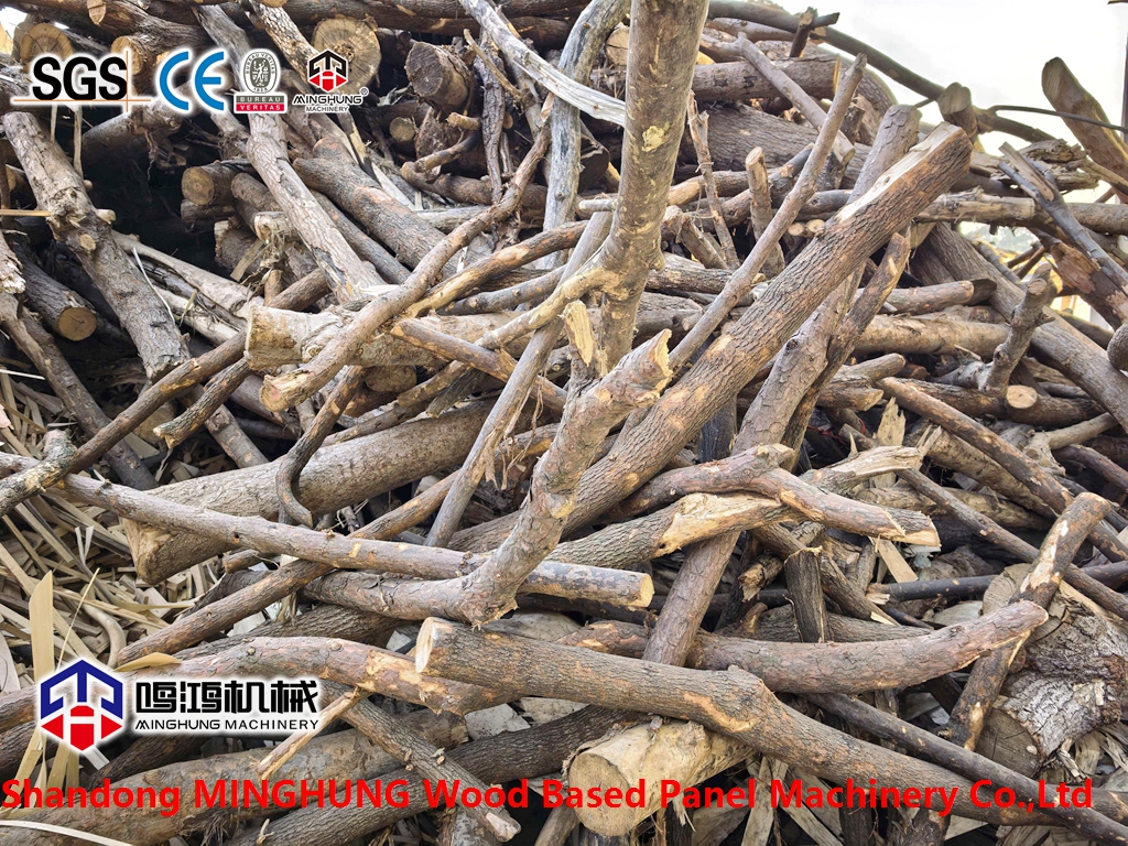 Raw material for particleboard - branches and twigs (2)