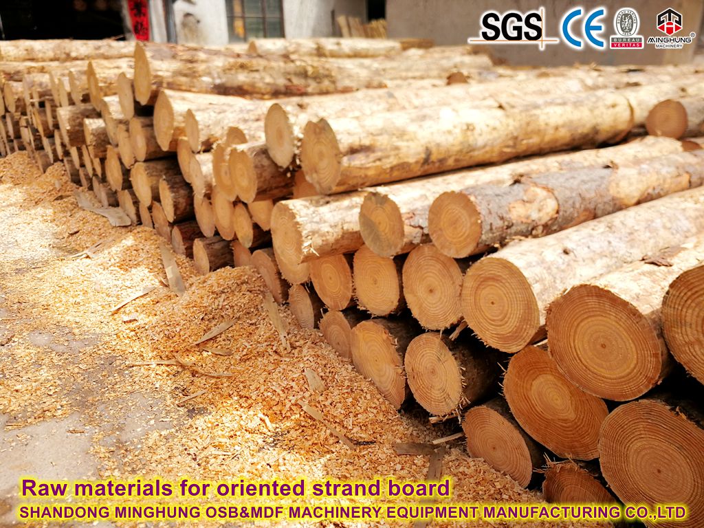Raw materials for oriented strand board
