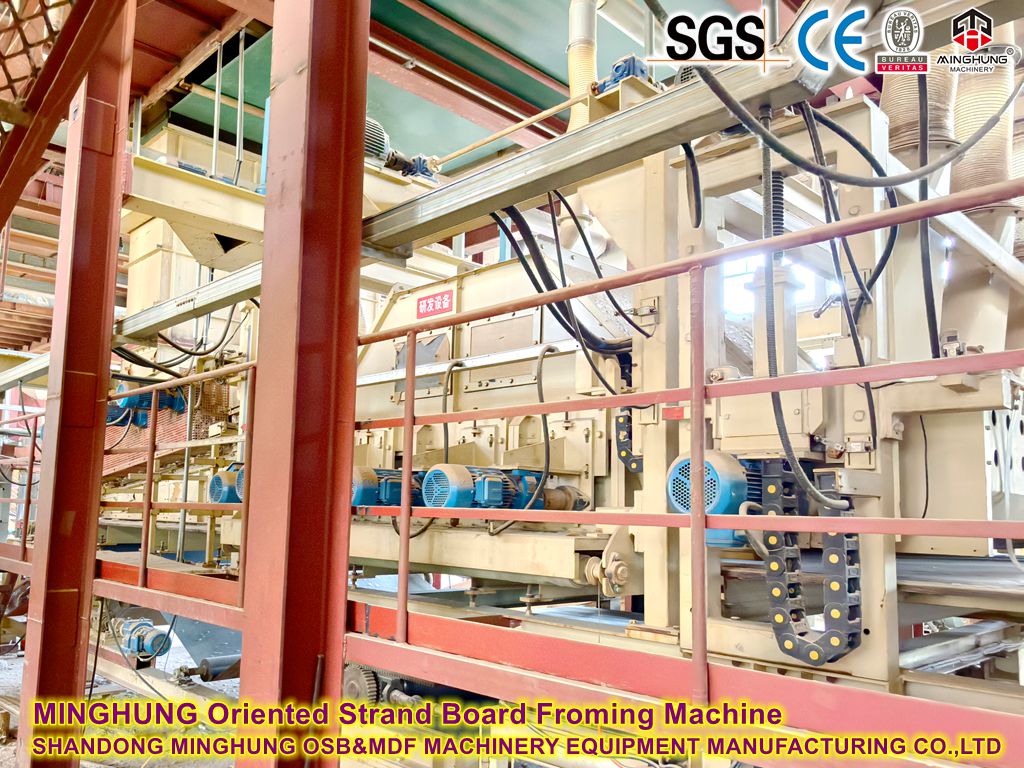 Oriented Strand Board Froming Machinery