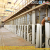 China Advanced Continuous Press System for Chipboard/MDF/OSB Production
