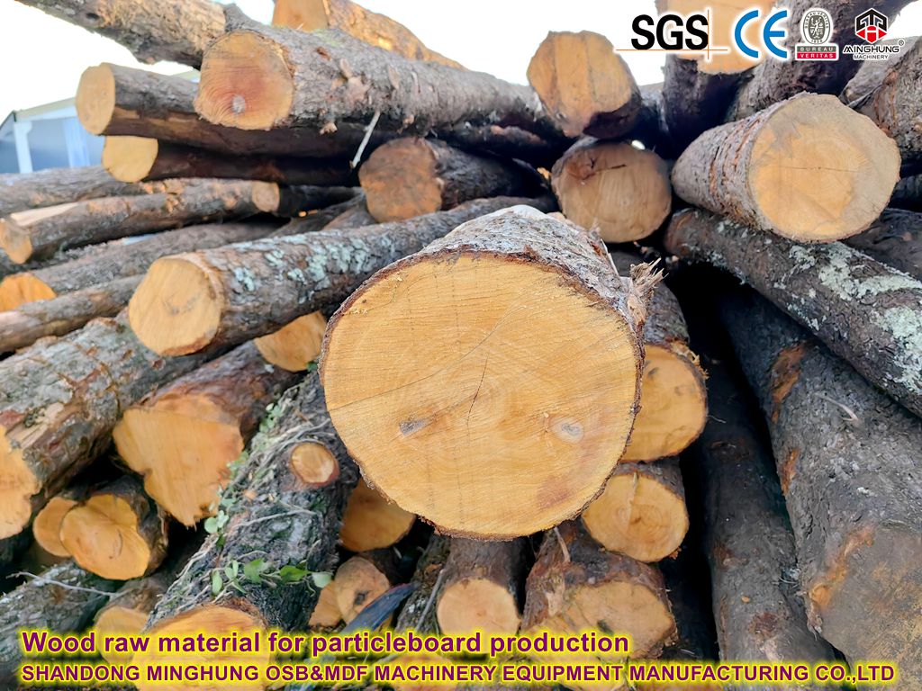 Wood raw material for particleboard production.jpg