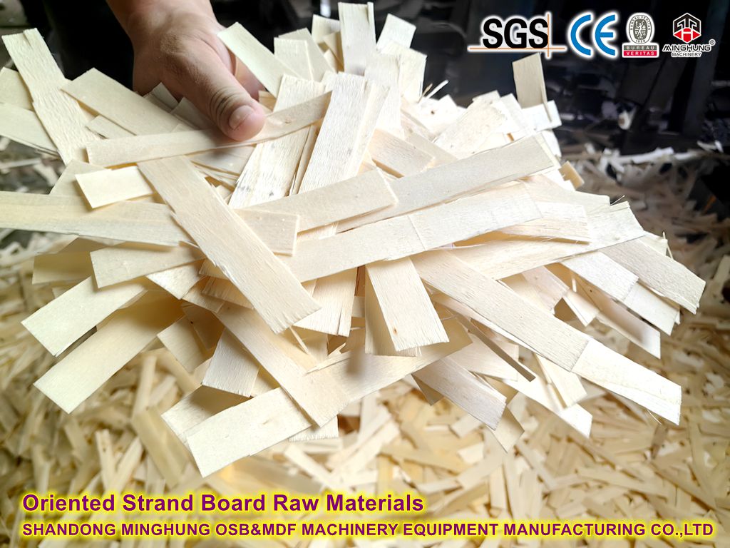 Oriented Strand Board Raw Material