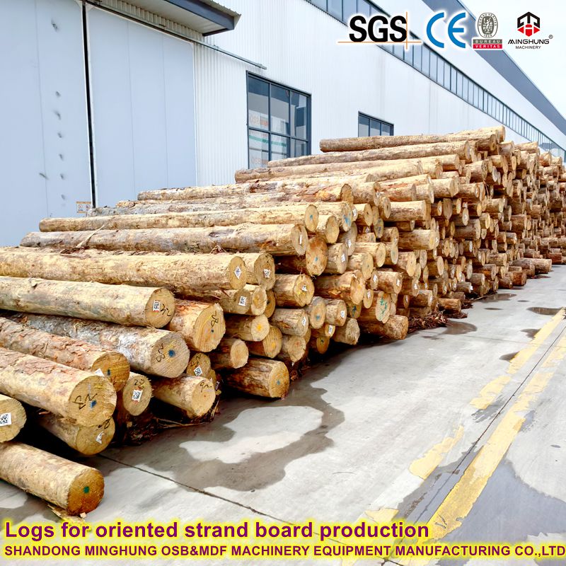Logs for oriented strand board production